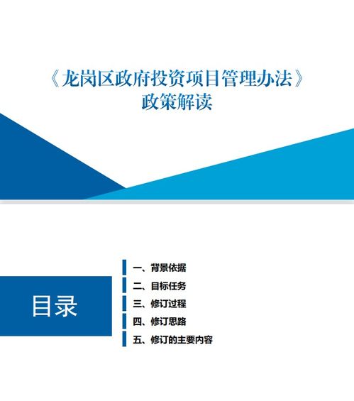 龙岗区政府投资项目管理办法 政策解读 图文版